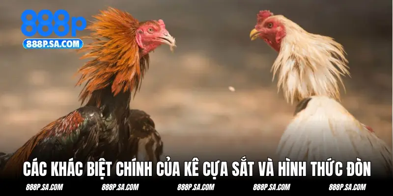 Các khác biệt chính của kê cựa sắt và hình thức đòn