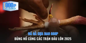 đá gà cựa dao