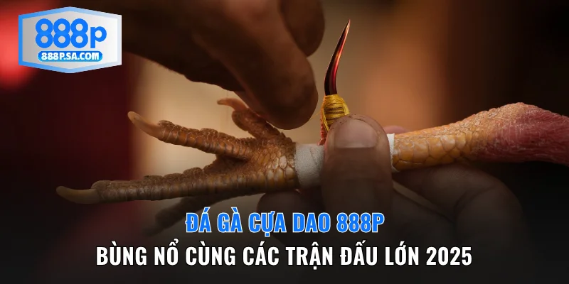 đá gà cựa dao