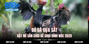 đá gà cựa sắt
