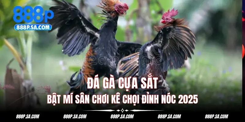 đá gà cựa sắt
