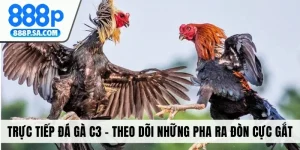 trực tiếp đá gà c3
